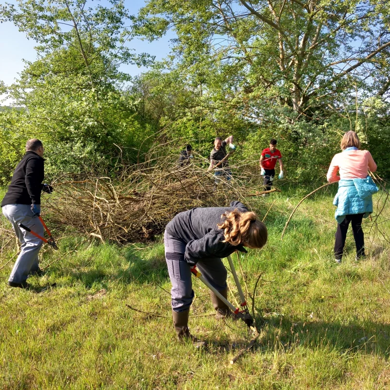 Chantier nature