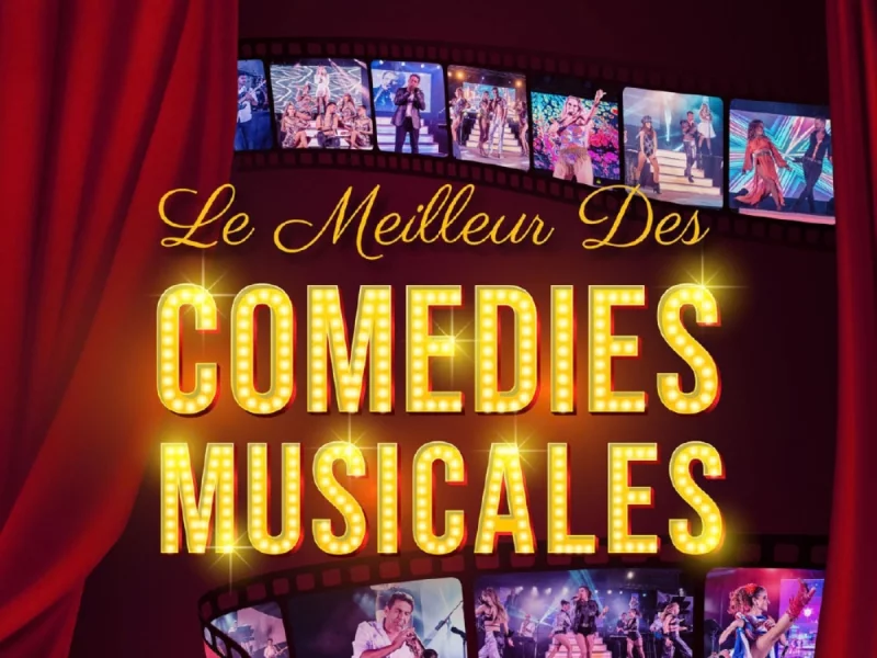 LE MEILLEUR DES COMÉDIES MUSICALES