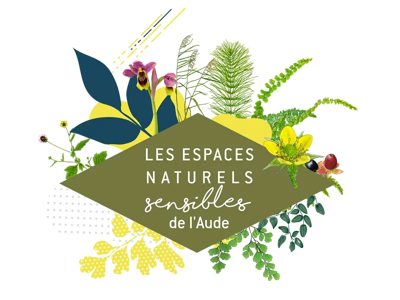 ENS - INCENDIE, UN AN APRÈS