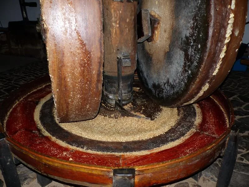 Visite et démonstration du moulin à huile