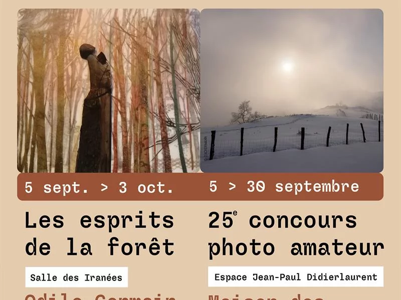 Exposition les esprits de la forêt