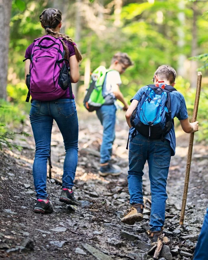 balade familiale en forêt !