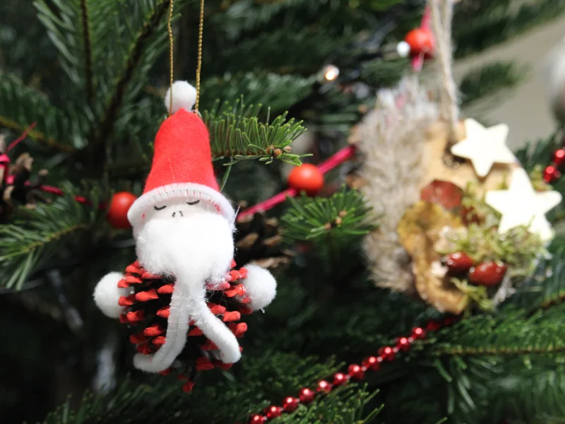 Décoration de Noël naturelle à Terres d'Oiseaux
