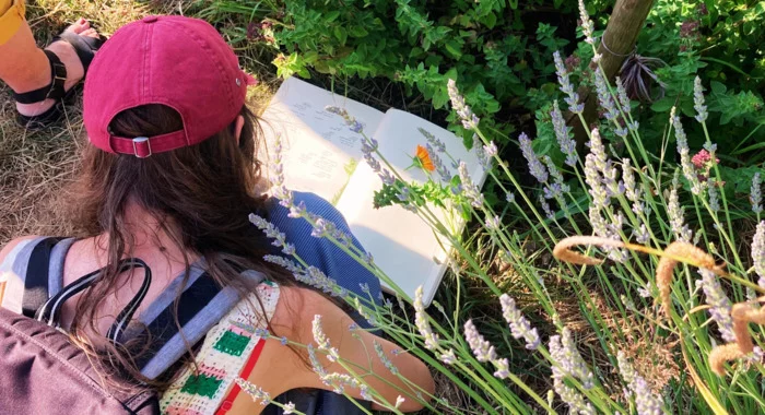 Stage 1 jour : S'initier à la culture des plantes médicinales