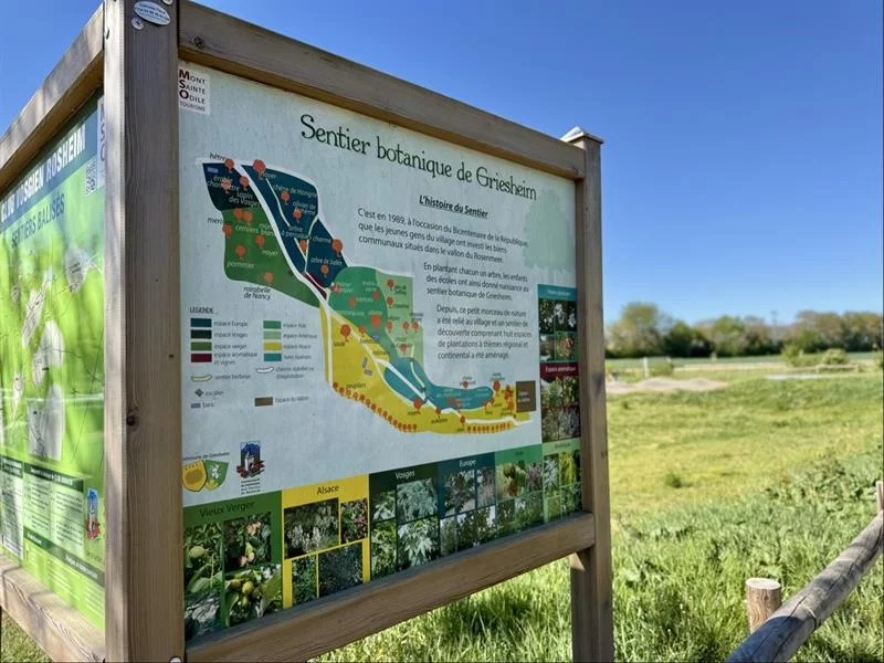 Sortie nature sur le sentier botanique