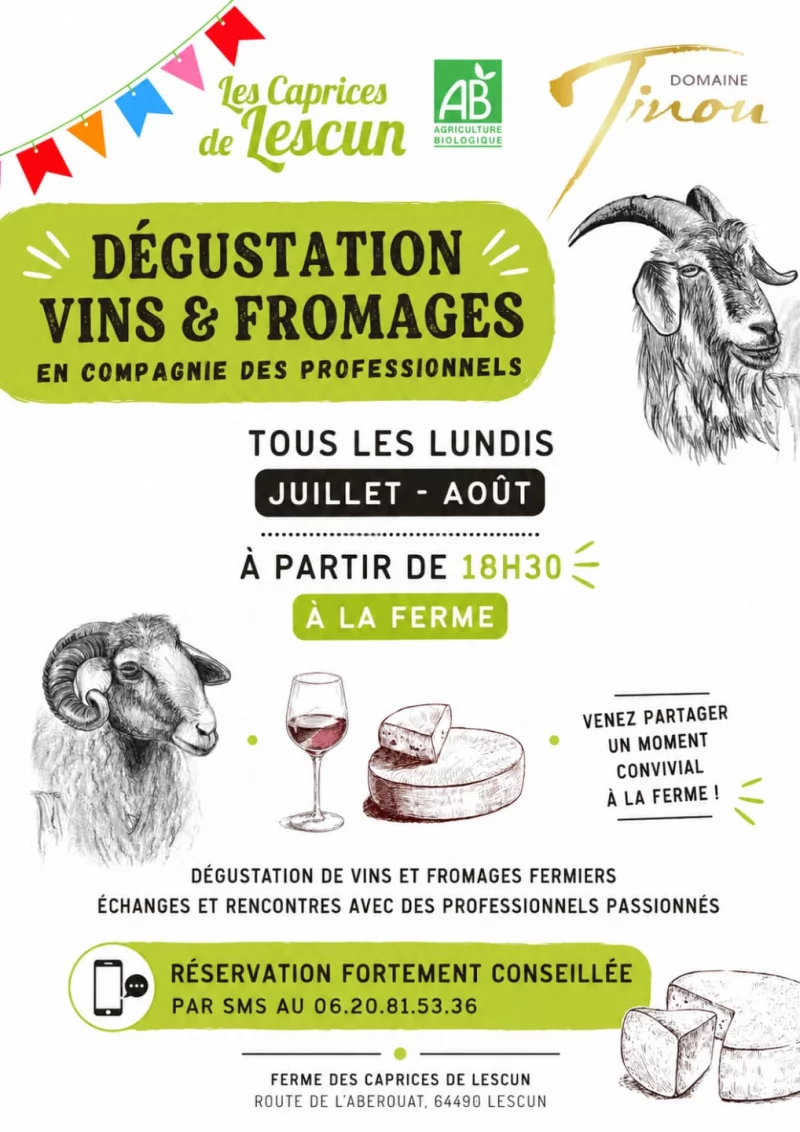 Dégustation vins et fromages en compagnie des professionnels