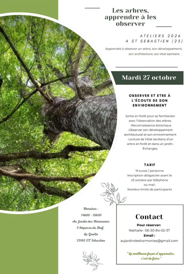 Atelier - les arbres, apprendre à les observer
