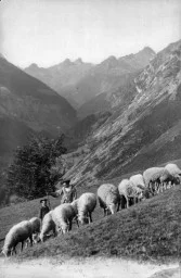 JOURNÉES EUROPÉENNES DU PATRIMOINE : « MÉMOIRES DE TRANSHUMANCE » - PROJECTION COMMENTÉE