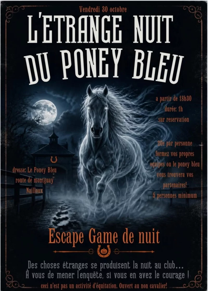 ESCAPE GAME NOCTURNE