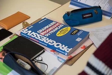 Français Langue Étrangère (FLE) - Orthographe-grammaire