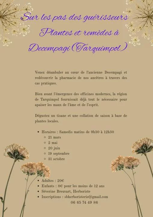 Plantes et remèdes à Decempagi