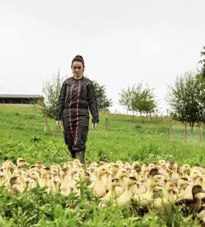 Portes ouvertes à la découverte des producteurs de Foie gras à Mauries