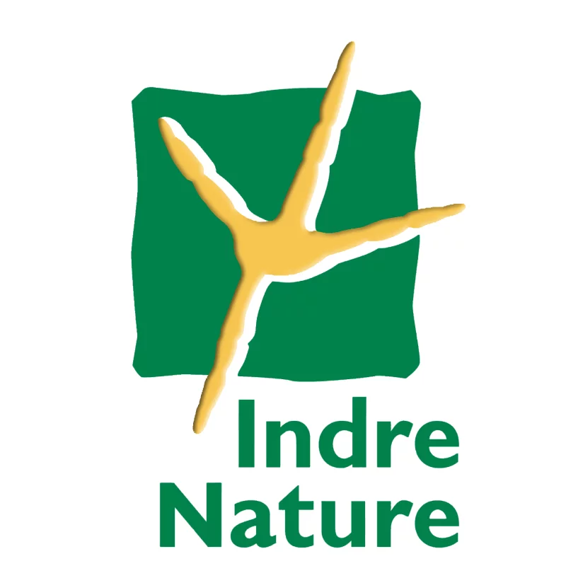 Sortie nature : plantes urbaines