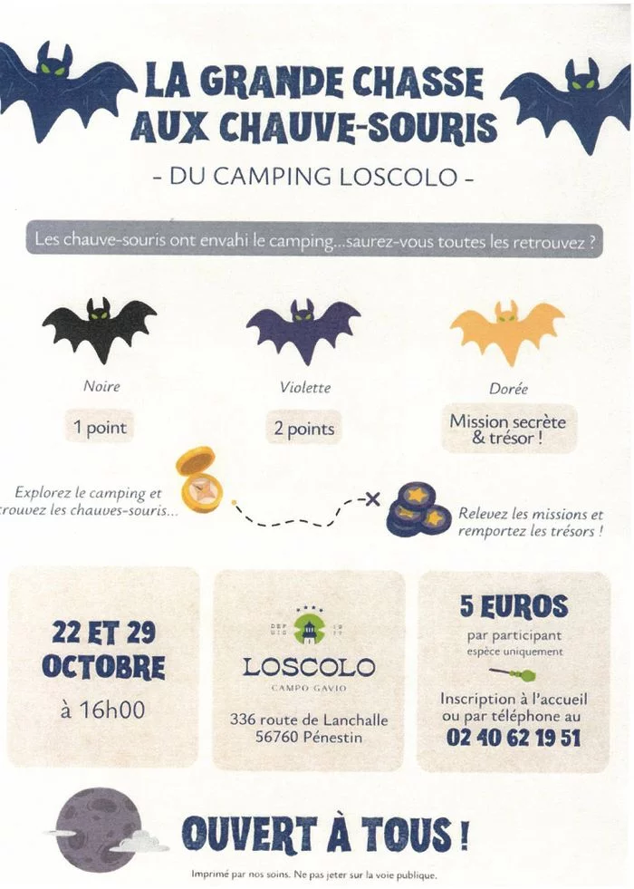La grande chasse aux chauve-souris