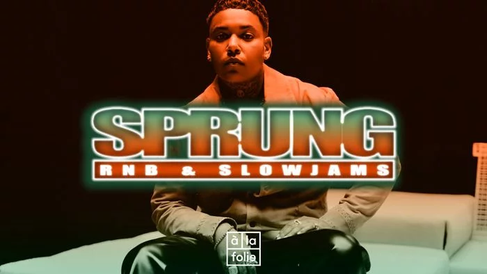 SPRUNG VOL.27 🌼 HIGH FREQUENCIES 🔉🍁