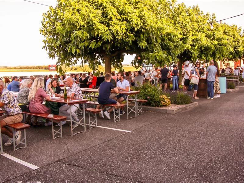 Domaine Bohr : les Guinguettes