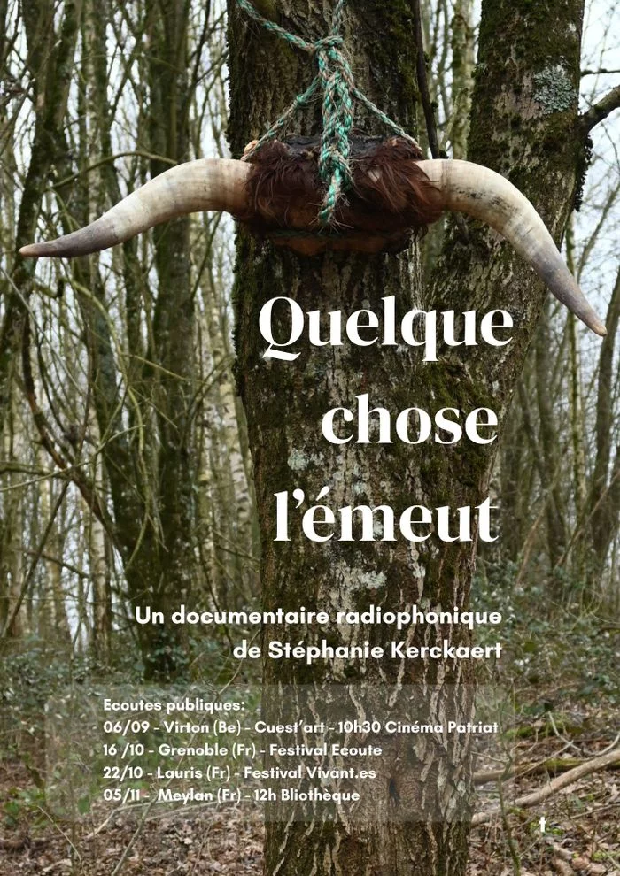 Ciné - Débat autour du documentaire sonore - "Quelque chose l'émeut"