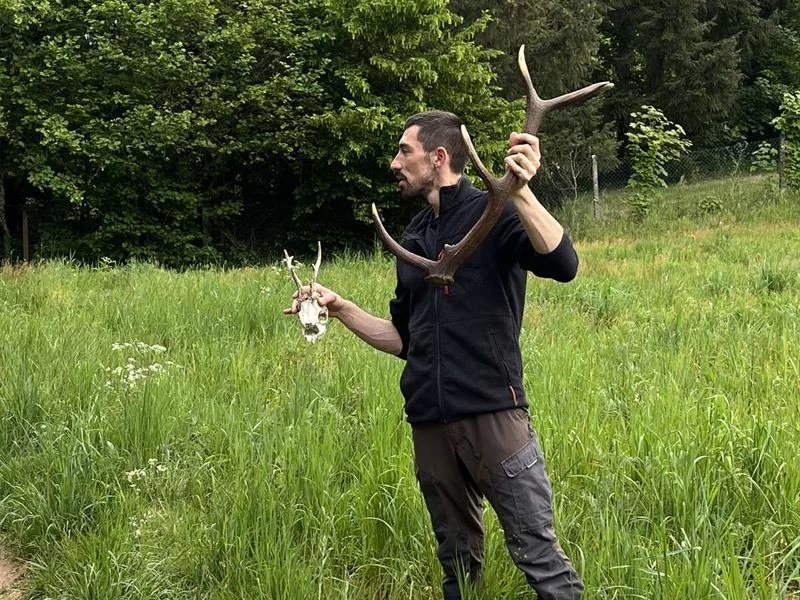 Balade nature : les secrets de la forêt autour de La Petite Pierre