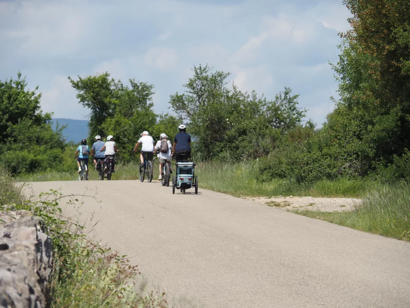 Vignobles en selle