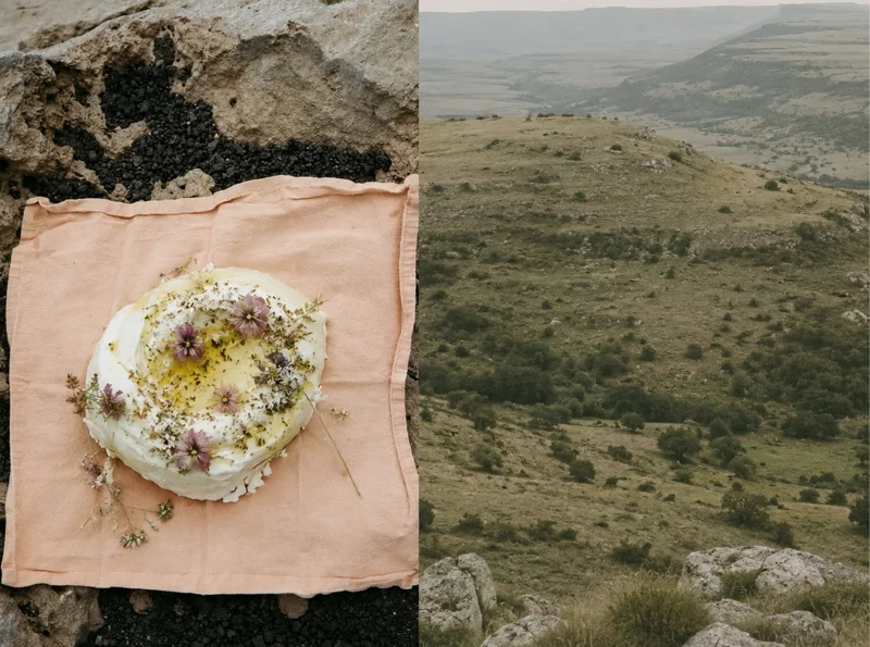 ET LA TERRE SE TRANSMET COMME LA LANGUE