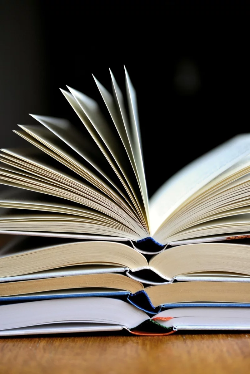 Vente publique des livres désherbés