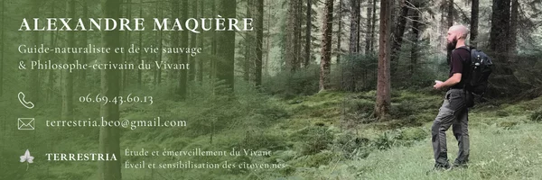 Fête des saisons autrement 1/8 ; Samhain
