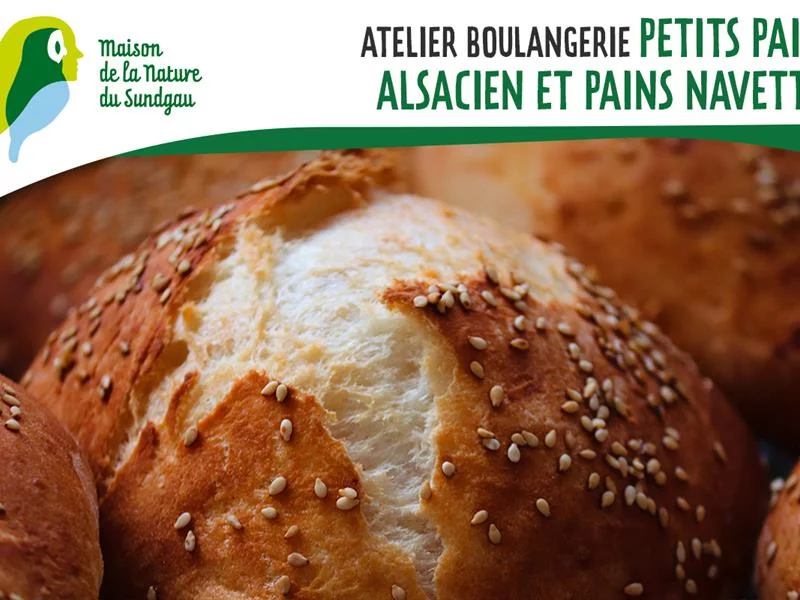 Atelier boulangerie - Petits pains alsaciens et pains navettes