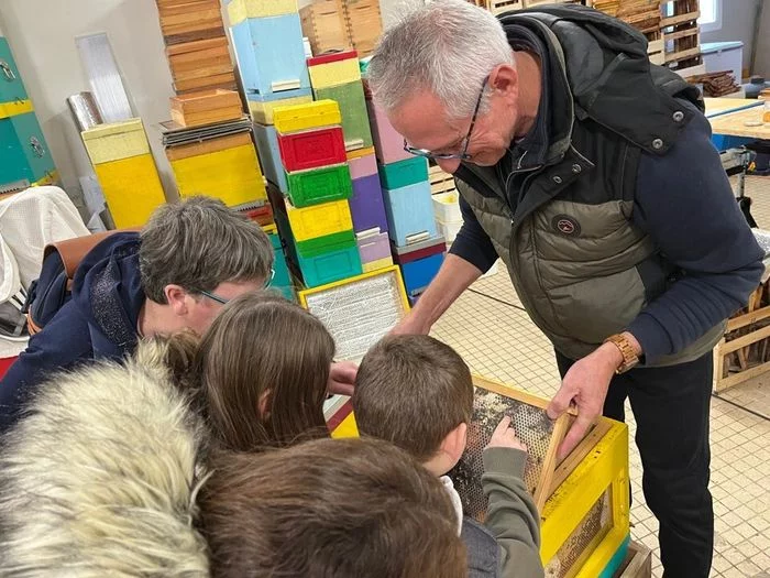 De la ruche à votre table : l’incroyable voyage du miel