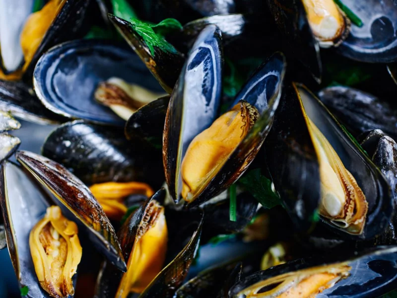 Concert : Duo Fusion + moules frites