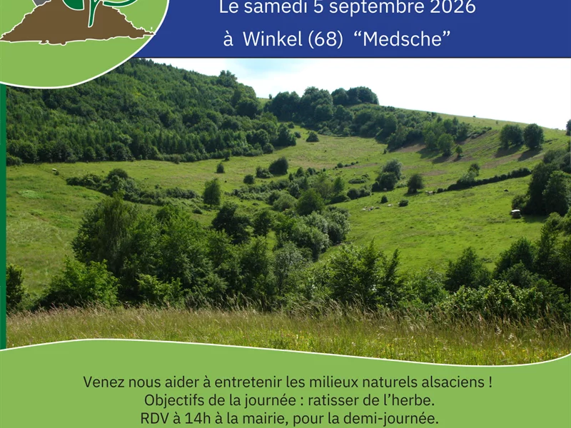 Chantier nature participatif