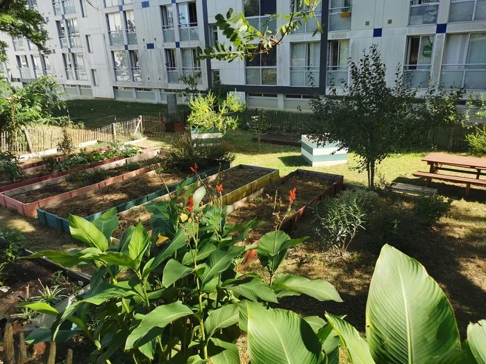 Atelier Cap sciences "Nature et sens"