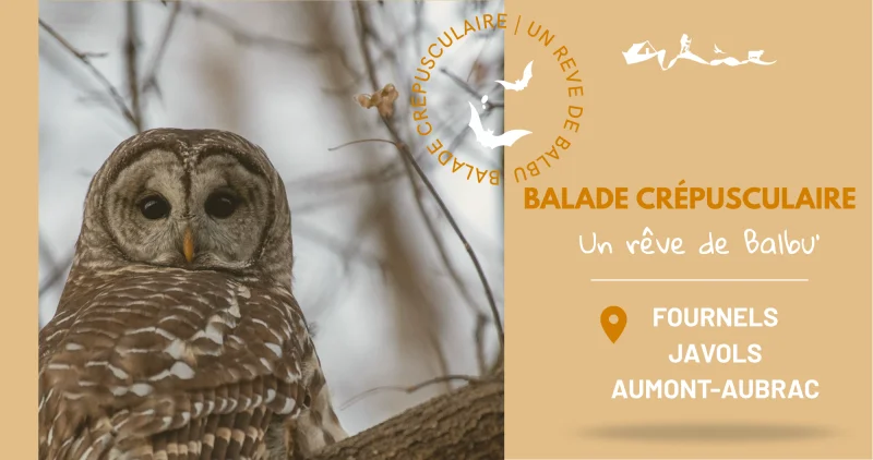 BALADE CREPUSCULAIRE À JAVOLS