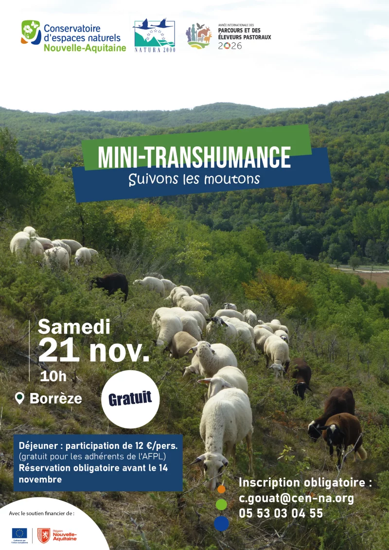 Mini-transhumanche à Borrèze