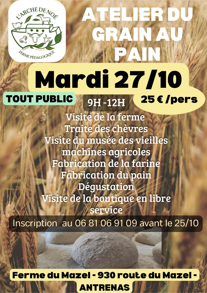 ATELIER DU GRAIN AU PAIN