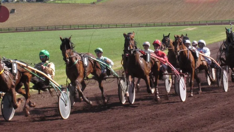 Courses hippiques