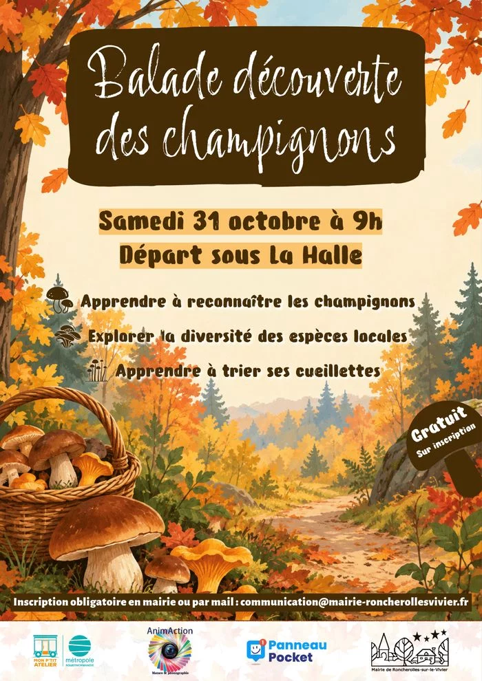Balade découverte des champignons - Roncherolles-sur-le-Vivier