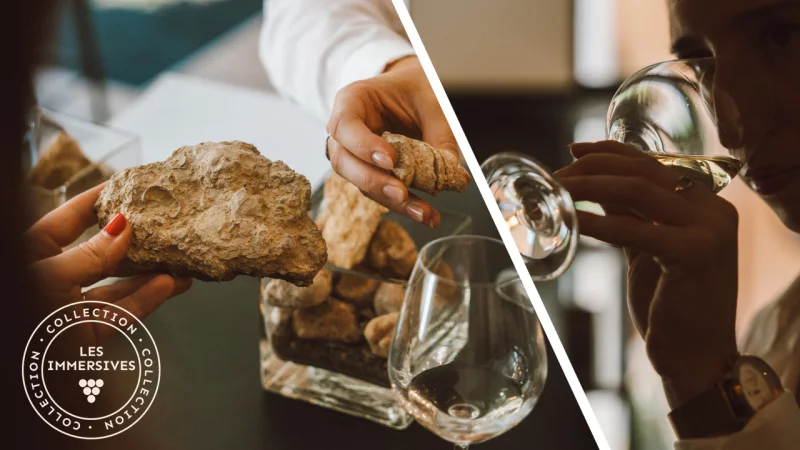 [Vignobles en Scène !] Atelier de dégustation Géo-sensoriel - Exploration de nos terroirs sancerrois