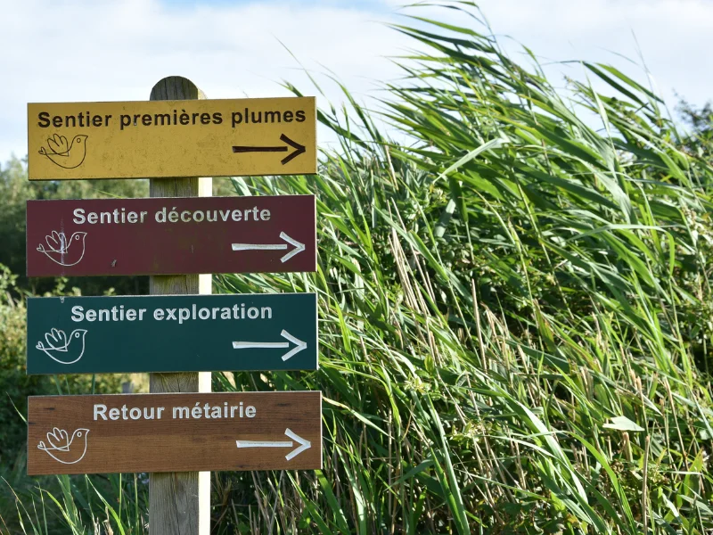 Fête de la nature - Portes Ouvertes à Terres d'Oiseaux