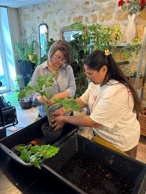 Atelier terreau avec RE-Plantes