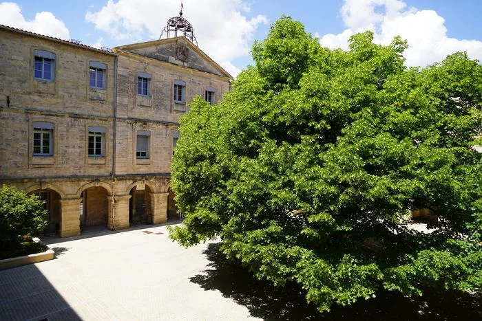 Visite libre de la cour Soulages du rectorat de l'académie de Montpellier