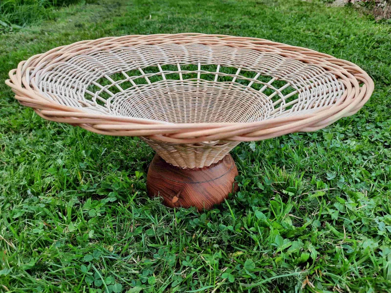 Stage de teintures végétales sur vannerie