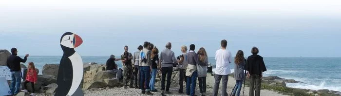 Observons la migration à l'Ile Grande