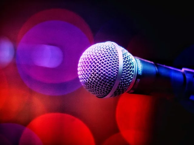 MICROMONDES ATELIER BEATBOXING