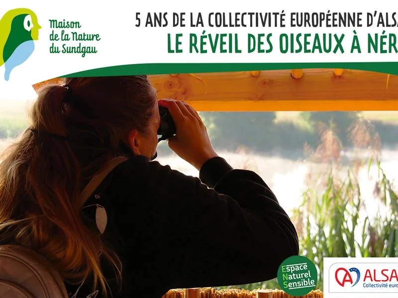 Le réveil des oiseaux à Nérac - 5 ans de la Collectivité européenne d'Alsace