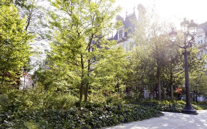 Les transformations végétales du Paris historique