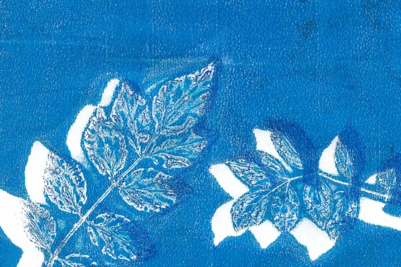 Atelier pour artistes en herbe | Cyanotype avec l'artiste Mélissa Boucher Morales
