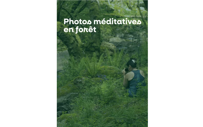 Photos méditatives en forêt