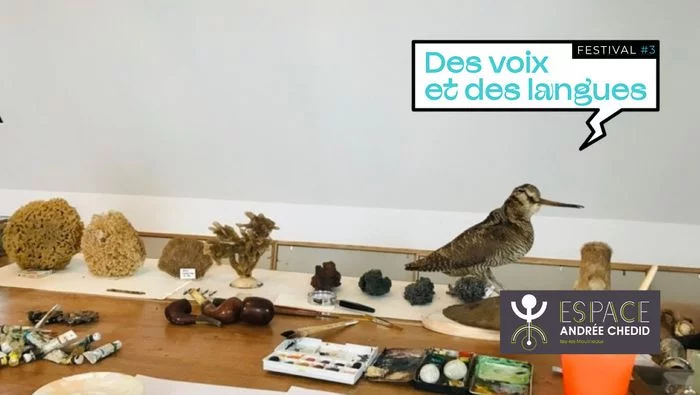 Exposition : Papoter, Pipeauter