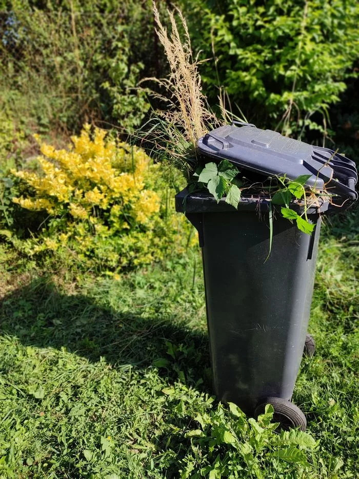 "La matière organique, une ressource à valoriser au jardin"