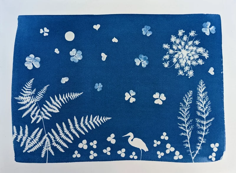 Initiation au cyanotype : autour du végétal